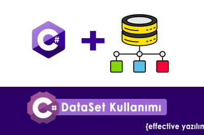 c# dataset kullanımı