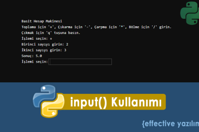 Python input Kullanımı: Kullanıcıdan Veri Alma